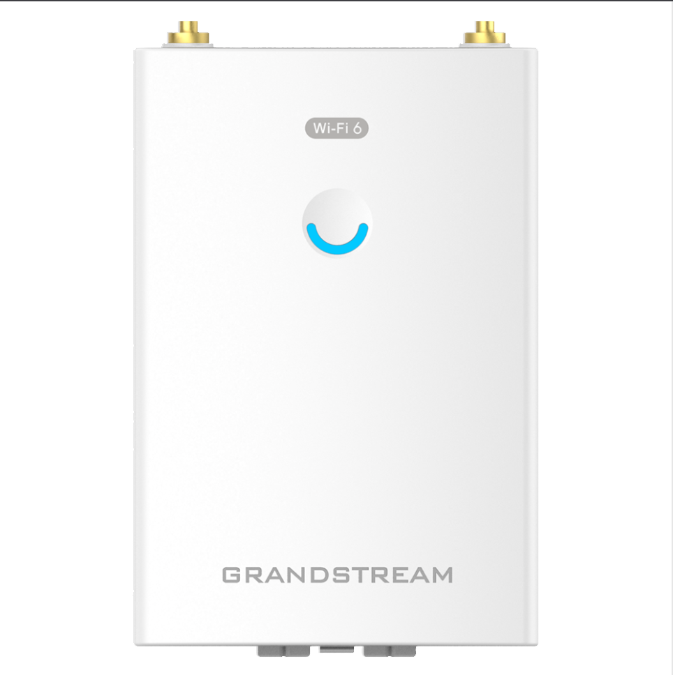 Grandstream GWN7660LR Tashqi Wi-Fi nuqtasi-3