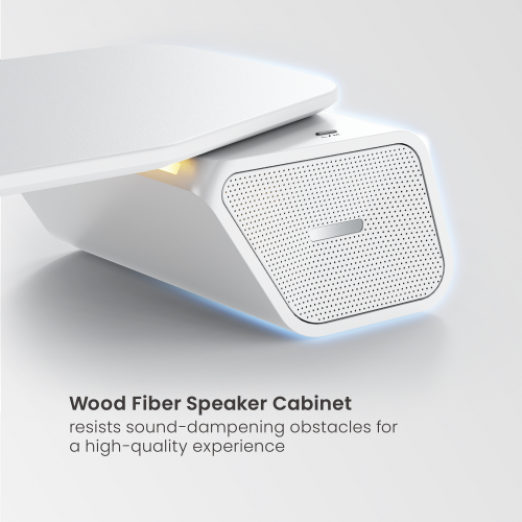 Колонки, SPEAKER  STB-212L-4