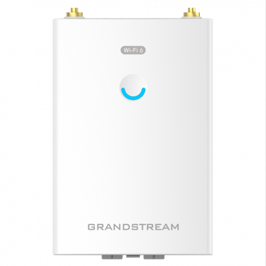 Grandstream GWN7660LR Tashqi Wi-Fi nuqtasi-3