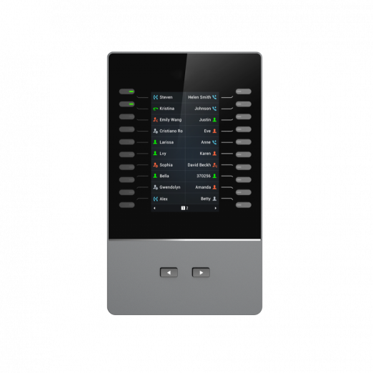 Grandstream Модуль расширения GBX20, IP NETWORK TELEPHONE-1